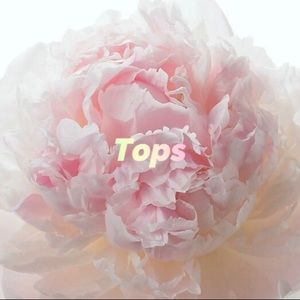 🌸Lots and Lots of Tops🌸